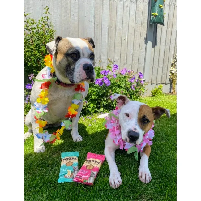 Soopa DentalsTruskawka Dog-Quiri 