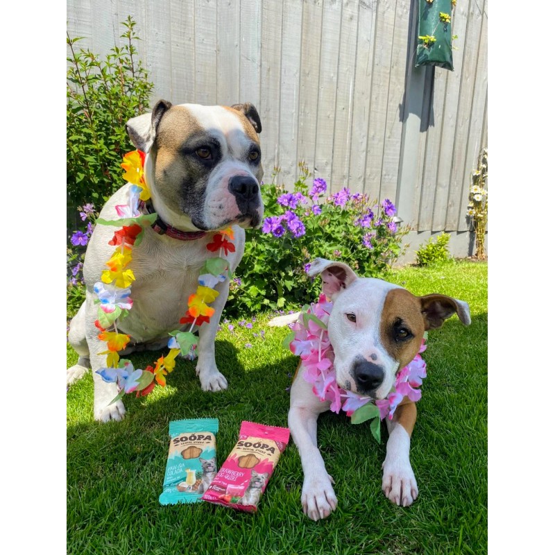 Soopa DentalsTruskawka Dog-Quiri 