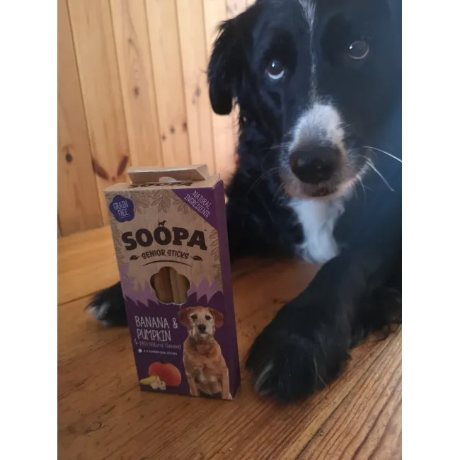 Soopa SENIOR Dentals BANANÓW & DYNIA