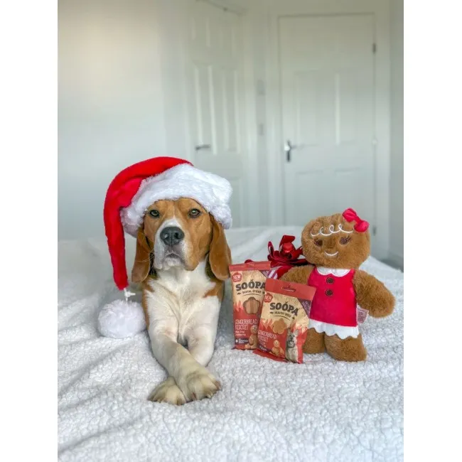 Soopa Dentals PIERNIKOWE CIASTKA