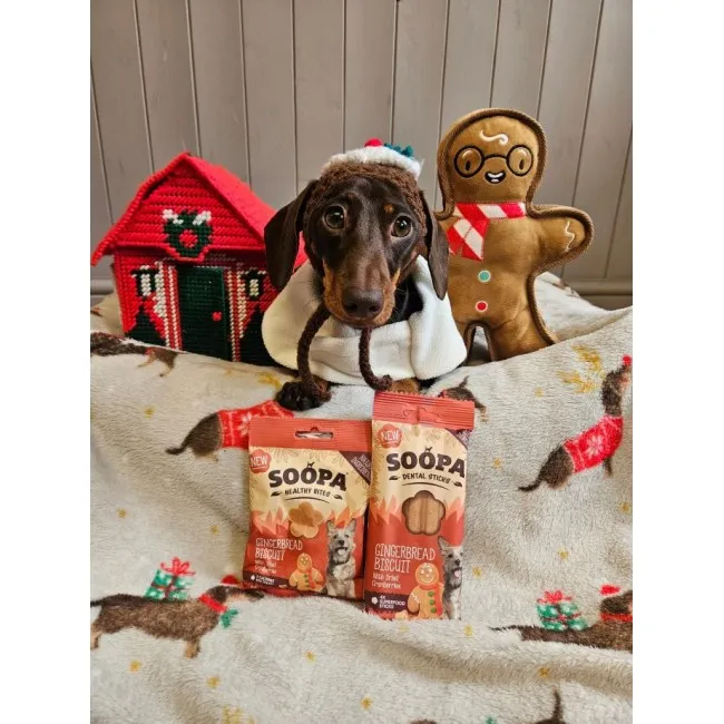 Soopa Bites PIERNIKOWE CIASTKA