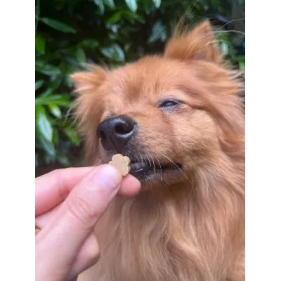 Soopa MINI Bites BANAN & DYNIA