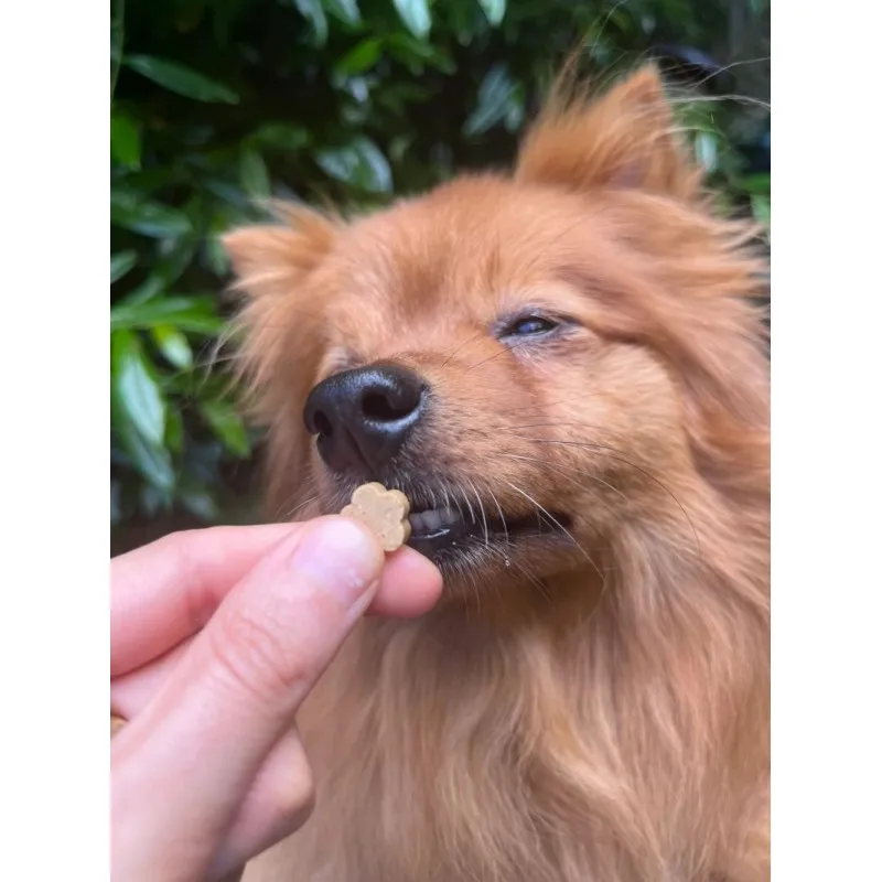 Soopa MINI Bites BANAN & DYNIA