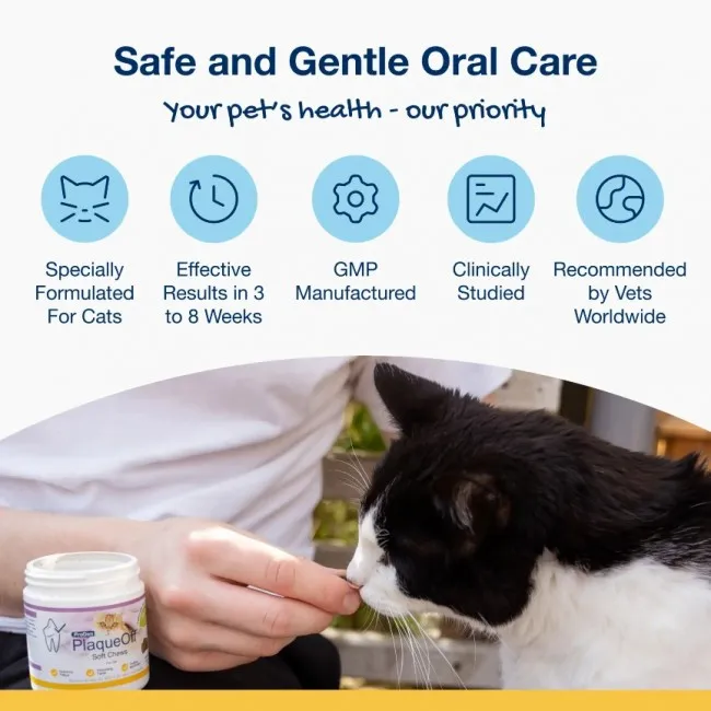 ProDen PlaqueOff SOFT CHEWS dla kotów