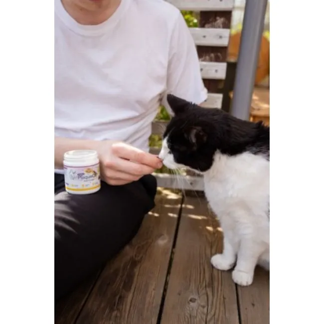 ProDen PlaqueOff SOFT CHEWS dla kotów